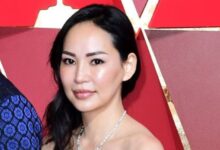 Miranda Pak Terrence Howard's ex-wife